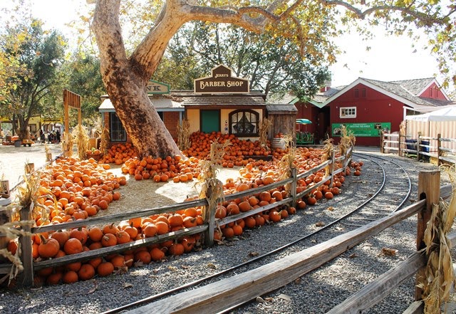 irvine-park-railroad-pumpkin-patch-2014-photo-by-letsplayoc-com-029