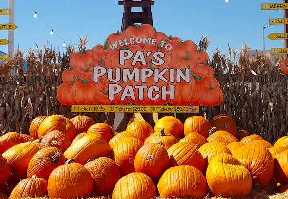 pa's pumpkin patch