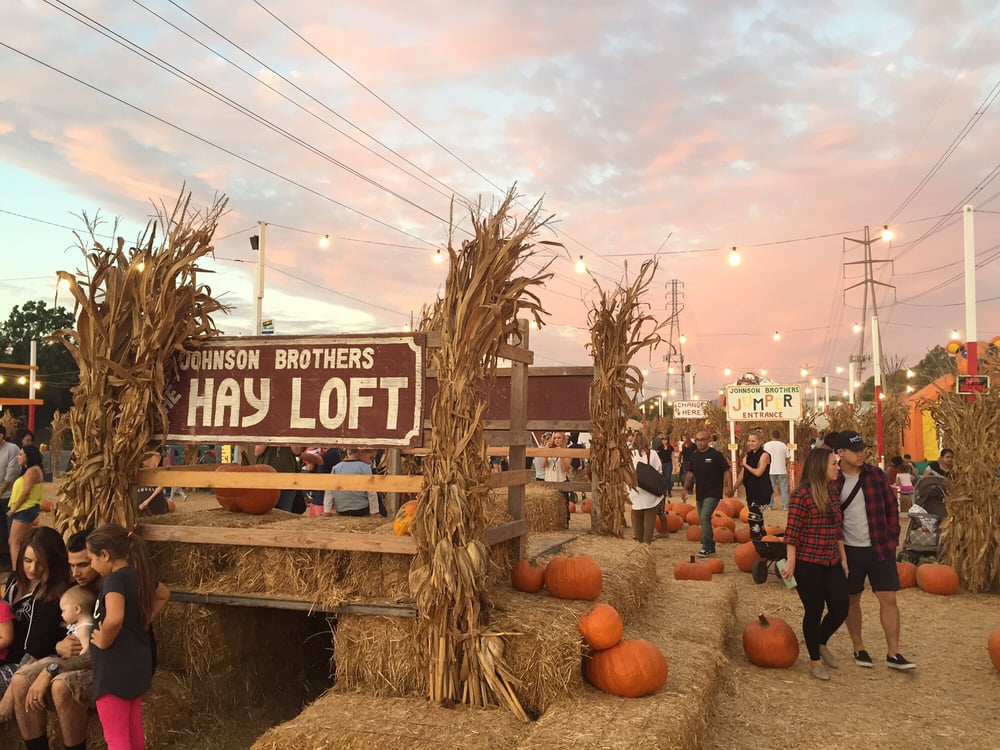 johnson brothers pumpkin patch