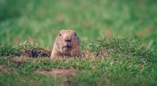 How to Escape Your “GroundHog Days”