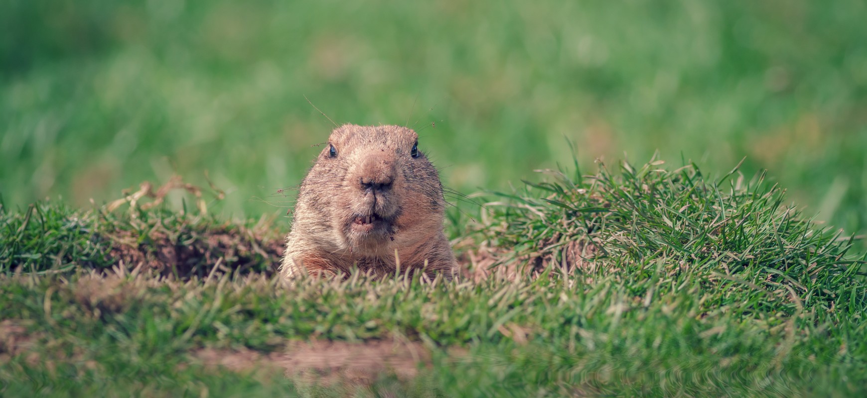 How to Escape Your “GroundHog Days”