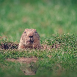 How to Escape Your “GroundHog Days”